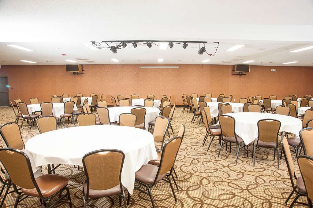 The Stone Castle Hotel & Conference Center Branson Facilidades foto